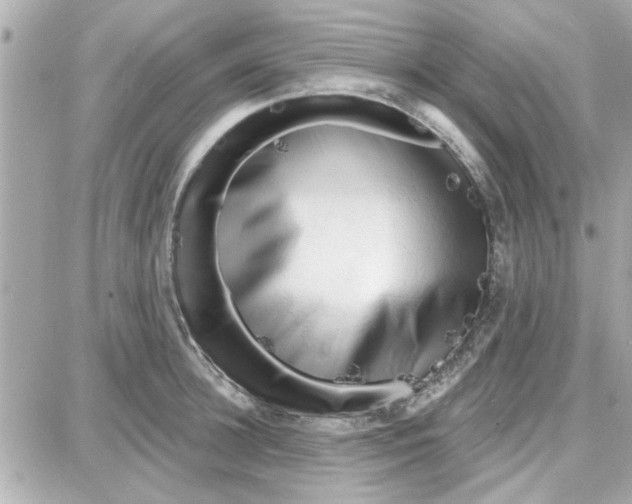 X0000087680948200705251640