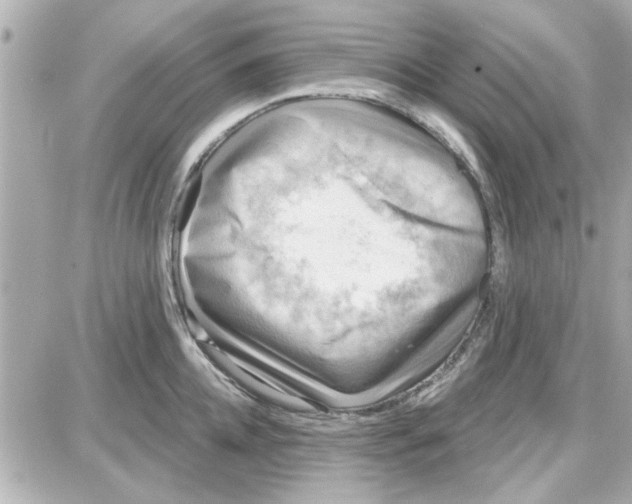 X0000087680952200705251640