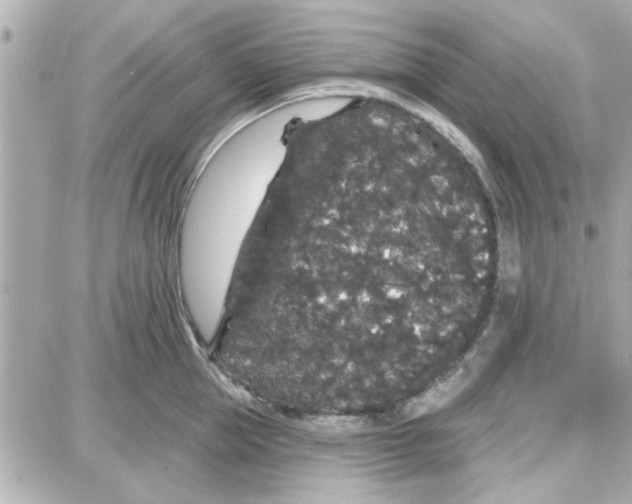 X0000087680953200705251640