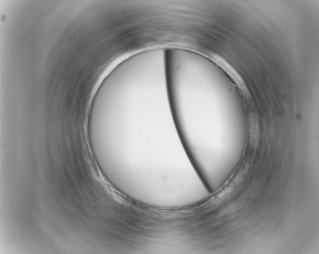 X0000087680956200705251640