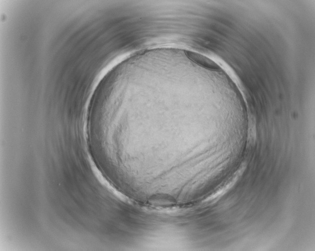 X0000087680957200705251640