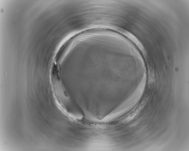 X0000087680958200705251640