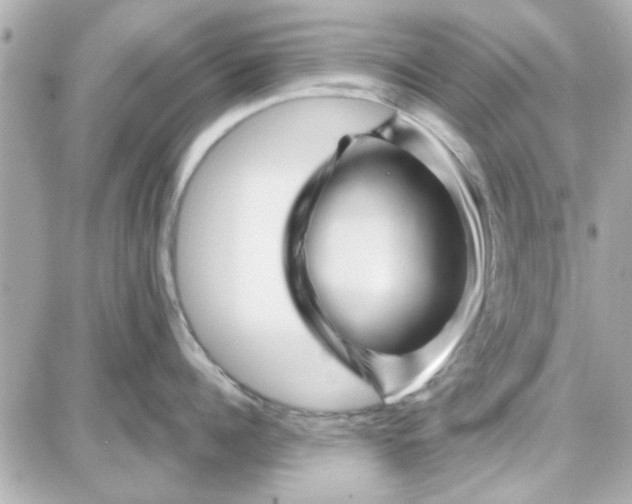 X0000087680960200705251640