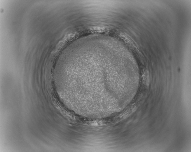 X0000087680961200705251640