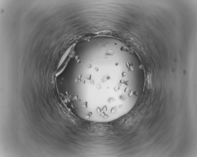 X0000087680963200705251640