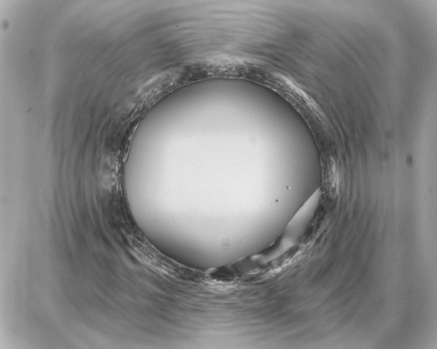 X0000087680964200705251640