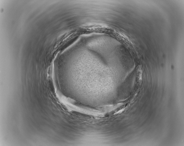 X0000087680965200705251640