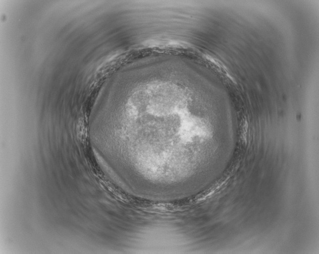 X0000087680966200705251640