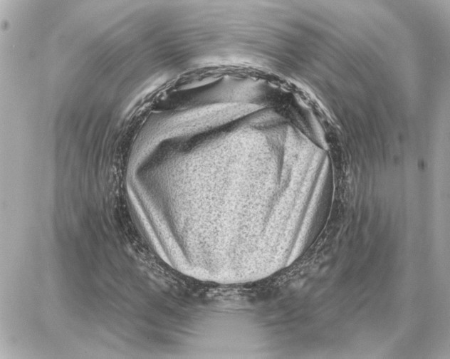 X0000087680967200705251640