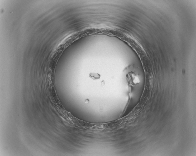 X0000087680968200705251640