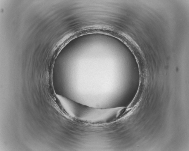 X0000087680969200705251640