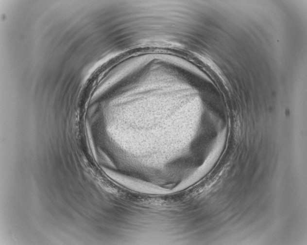 X0000087680971200705251639