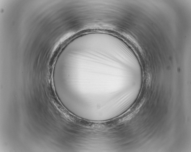 X0000087680974200705251639