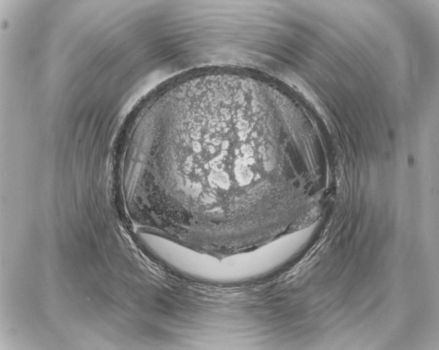 X0000087680975200705251639