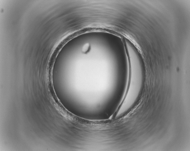 X0000087680976200705251639