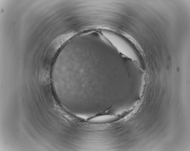 X0000087680977200705251639