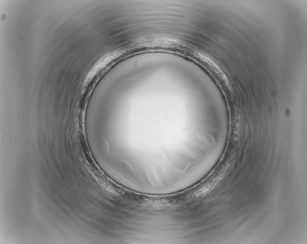 X0000087680978200705251639