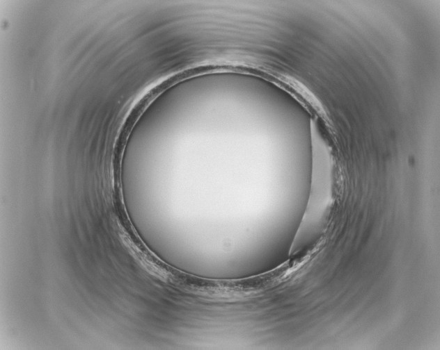 X0000087680980200705251639