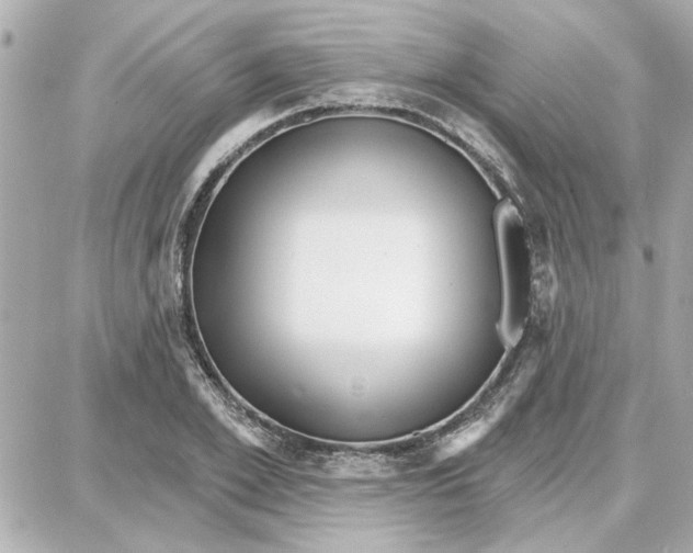 X0000087680981200705251639