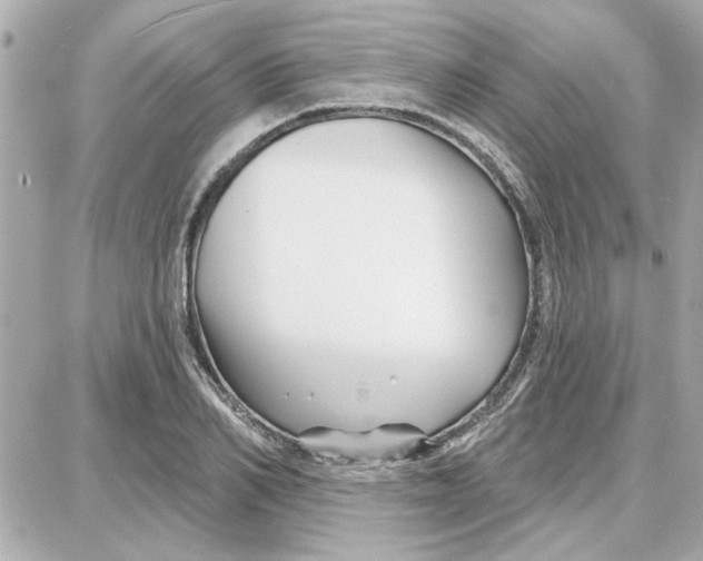 X0000087680982200705251639