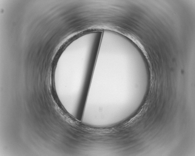 X0000087680984200705251639