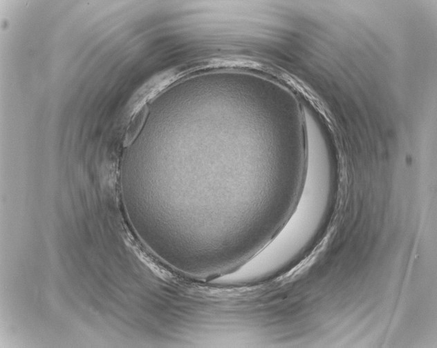 X0000087680985200705251639