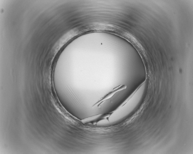 X0000087680986200705251639