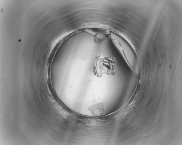 X0000087680987200705251639