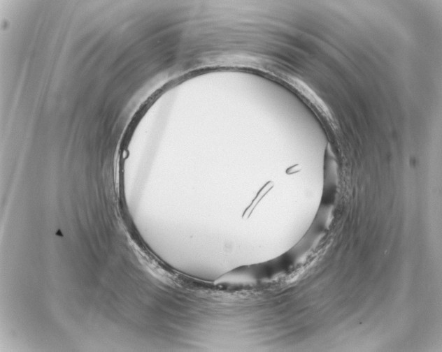 X0000087680988200705251639