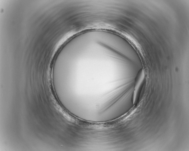 X0000087680990200705251639