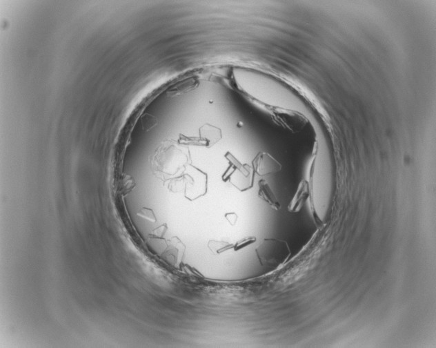 X0000087680991200705251639