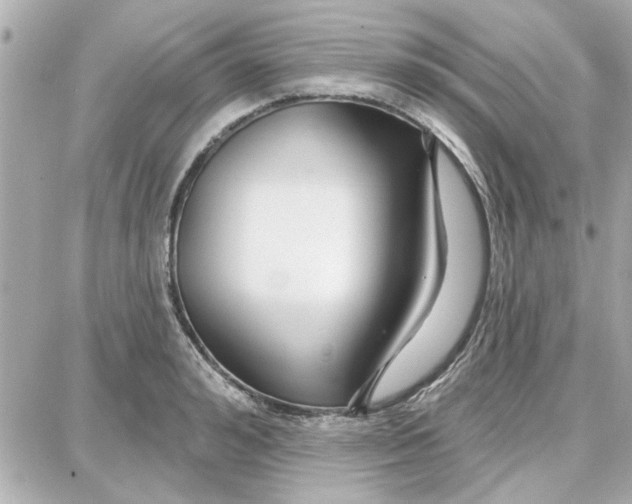 X0000087680992200705251639