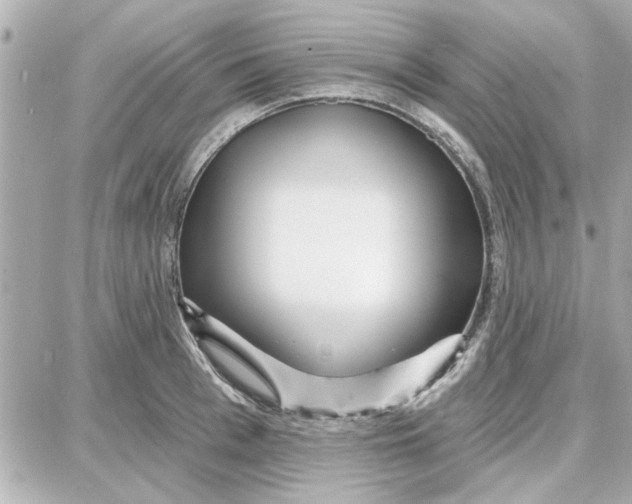 X0000087680993200705251639