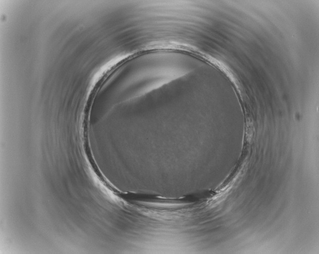 X0000087680995200705251639