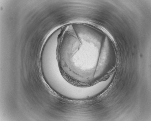 X0000087680996200705251639