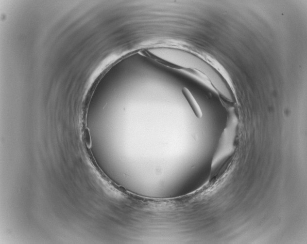 X0000087680997200705251639