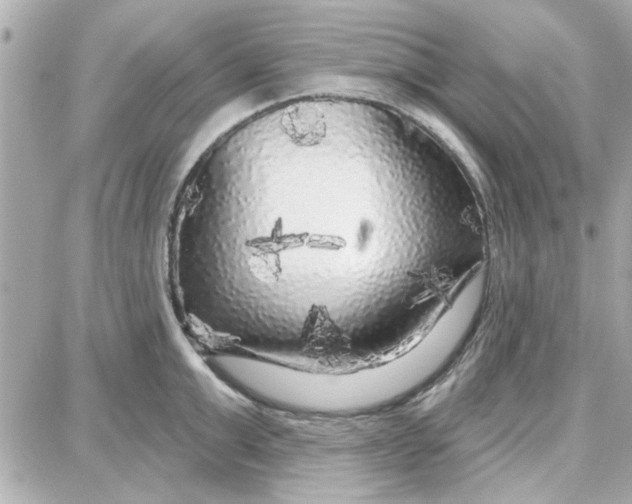 X0000087680999200705251639