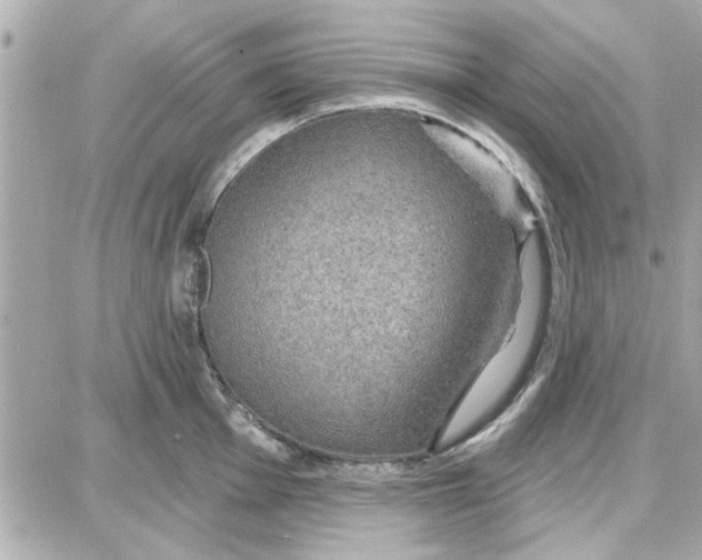 X0000087681001200705251639