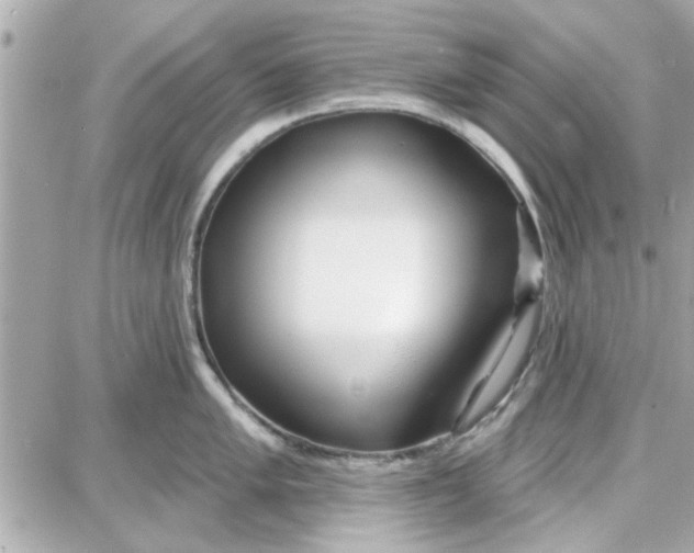 X0000087681005200705251639