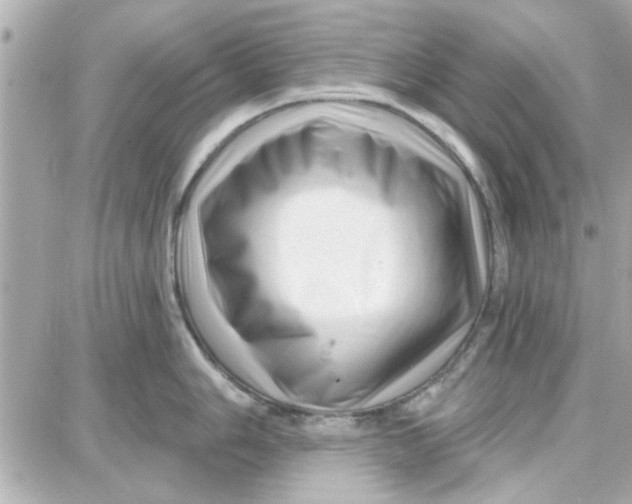 X0000087681006200705251639