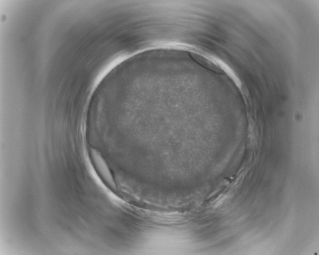 X0000087681007200705251639