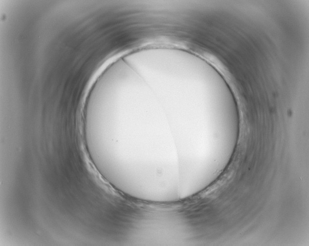 X0000087681008200705251639