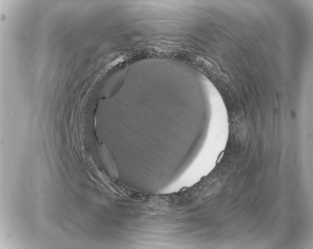 X0000087681009200705251638