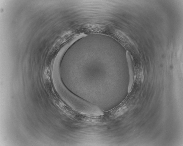 X0000087681010200705251638