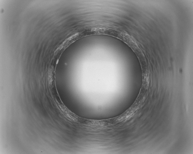 X0000087681012200705251638