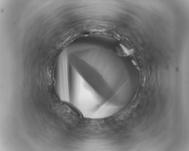 X0000087681013200705251638