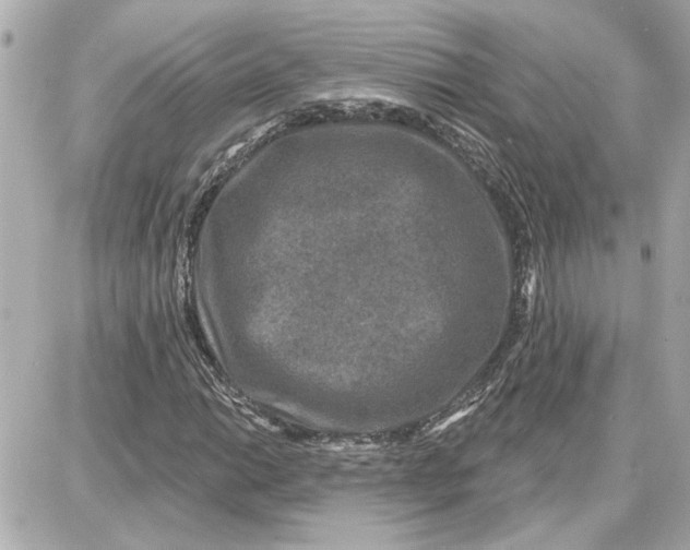 X0000087681014200705251638