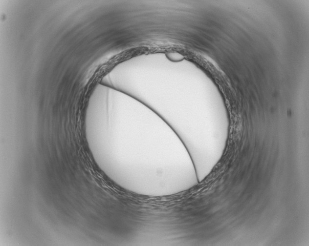 X0000087681016200705251638