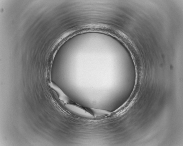 X0000087681017200705251638