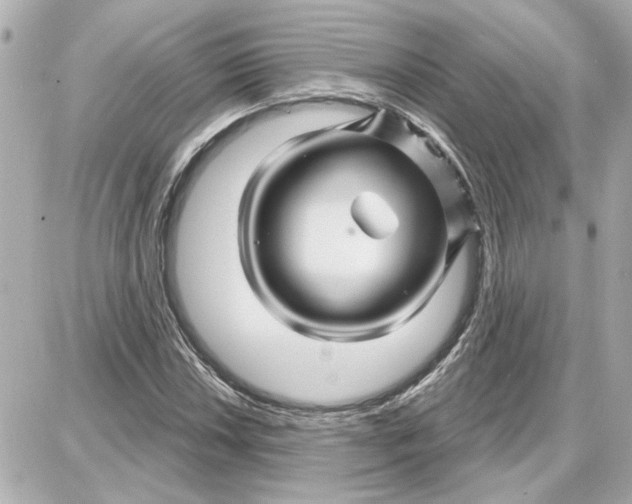 X0000087681018200705251638